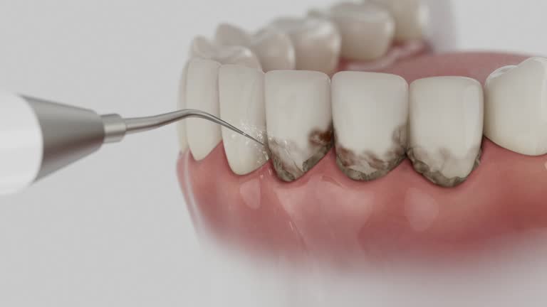 Reliable Dental contractor in Toledo, IL by Dentist Open Now